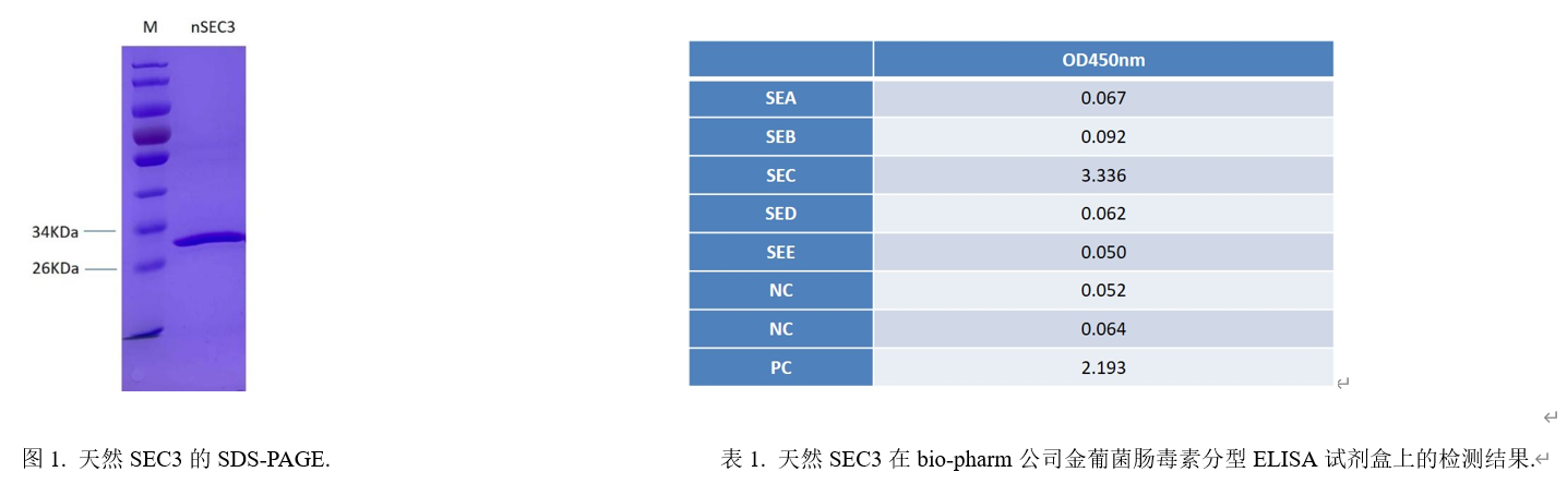 金葡菌腸毒素SEC3.png