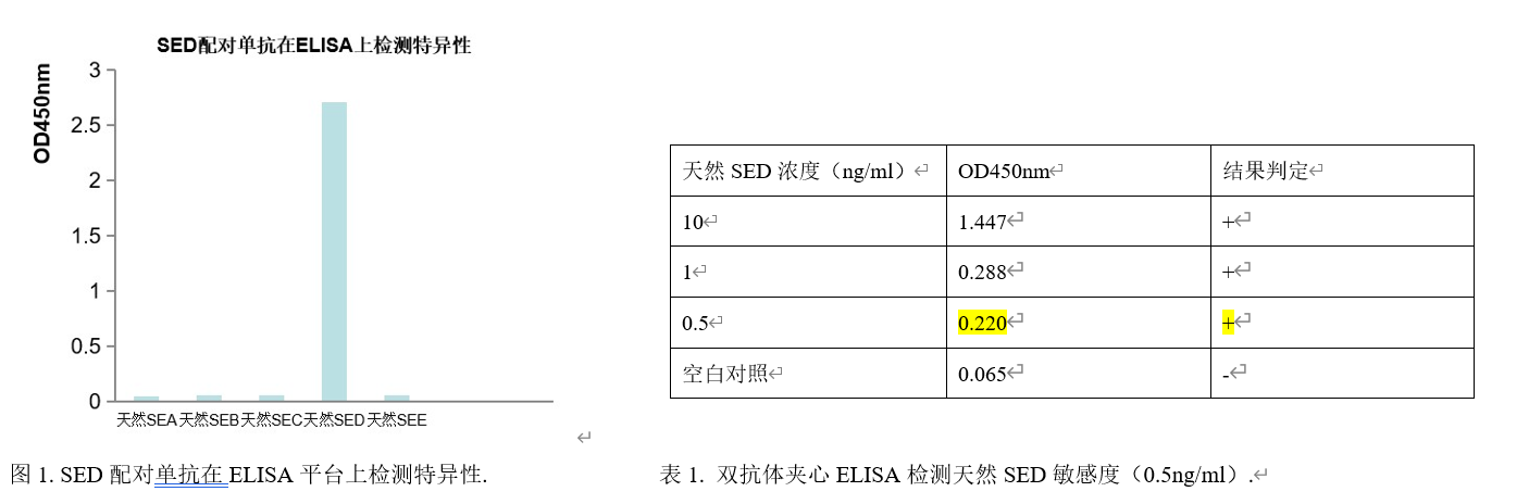 SED配對抗體.png